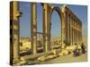 Two Cyclists Pass the Great Colonnade (Cardo), Palmyra, Unesco World Heritage Site, Syria-Eitan Simanor-Stretched Canvas