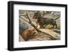 Two Dachshunds-null-Framed Photographic Print