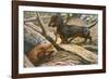 Two Dachshunds-null-Framed Photographic Print