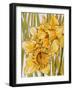 Two Daffodils, 2001-Joan Thewsey-Framed Giclee Print