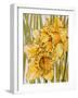 Two Daffodils, 2001-Joan Thewsey-Framed Giclee Print