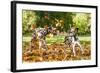 Two Dalmatian Dogs Playing with Leaves in Autumn-Grigorita Ko-Framed Photographic Print