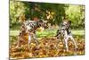 Two Dalmatian Dogs Playing with Leaves in Autumn-Grigorita Ko-Mounted Photographic Print