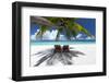 Two deck chairs under palm trees and tropical beach, The Maldives, Indian Ocean, Asia-Sakis Papadopoulos-Framed Premium Photographic Print