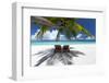 Two deck chairs under palm trees and tropical beach, The Maldives, Indian Ocean, Asia-Sakis Papadopoulos-Framed Premium Photographic Print