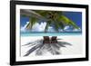 Two deck chairs under palm trees and tropical beach, The Maldives, Indian Ocean, Asia-Sakis Papadopoulos-Framed Photographic Print