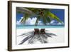 Two deck chairs under palm trees and tropical beach, The Maldives, Indian Ocean, Asia-Sakis Papadopoulos-Framed Photographic Print