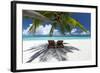 Two deck chairs under palm trees and tropical beach, The Maldives, Indian Ocean, Asia-Sakis Papadopoulos-Framed Photographic Print