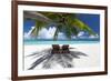 Two deck chairs under palm trees and tropical beach, The Maldives, Indian Ocean, Asia-Sakis Papadopoulos-Framed Photographic Print