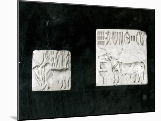 Two Decorated Seals Depicting a Zebu and a Bull, from Mohenjodaro, Protohistoric-Harappan-Mounted Giclee Print