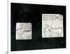Two Decorated Seals Depicting a Zebu and a Bull, from Mohenjodaro, Protohistoric-Harappan-Framed Giclee Print