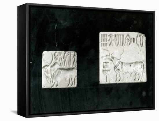 Two Decorated Seals Depicting a Zebu and a Bull, from Mohenjodaro, Protohistoric-Harappan-Framed Stretched Canvas