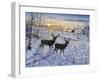 Two Deer in the Moonlight-Jeff Tift-Framed Giclee Print