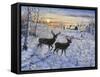 Two Deer in the Moonlight-Jeff Tift-Framed Stretched Canvas