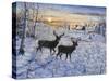 Two Deer in the Moonlight-Jeff Tift-Stretched Canvas
