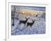 Two Deer in the Moonlight-Jeff Tift-Framed Giclee Print