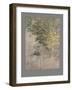 Two deer (oil and gold leaf on canvas)-Angus Hampel-Framed Giclee Print