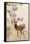 Two Deer, Pine and Moon-Koson Ohara-Framed Stretched Canvas