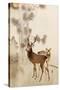 Two Deer, Pine and Moon-Koson Ohara-Stretched Canvas