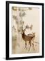 Two Deer, Pine and Moon-Koson Ohara-Framed Giclee Print