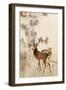 Two Deer, Pine and Moon-Koson Ohara-Framed Giclee Print