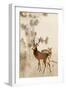 Two Deer, Pine and Moon-Koson Ohara-Framed Giclee Print