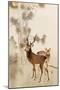 Two Deer, Pine and Moon-Koson Ohara-Mounted Giclee Print