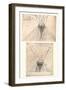 Two diagrams illustrating the theory of light and shade, c1472-c1519 (1883)-Leonardo Da Vinci-Framed Giclee Print