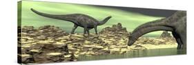 Two Dicraeosaurus Dinosaurs in a Desert Landscape-null-Stretched Canvas