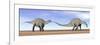 Two Dicraeosaurus Dinosaurs Walking in the Desert-null-Framed Art Print