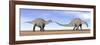 Two Dicraeosaurus Dinosaurs Walking in the Desert-null-Framed Art Print