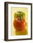 Two Different Tomatoes on Yellow Background-Foodcollection-Framed Photographic Print