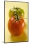 Two Different Tomatoes on Yellow Background-Foodcollection-Mounted Photographic Print