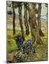 Two Diggers among Trees-Vincent van Gogh-Mounted Art Print