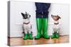 Two Dogs and Owner-Javier Brosch-Stretched Canvas