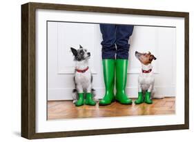 Two Dogs and Owner-Javier Brosch-Framed Photographic Print