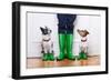 Two Dogs and Owner-Javier Brosch-Framed Photographic Print