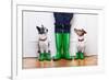 Two Dogs and Owner-Javier Brosch-Framed Photographic Print