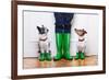 Two Dogs and Owner-Javier Brosch-Framed Photographic Print