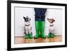 Two Dogs and Owner-Javier Brosch-Framed Photographic Print