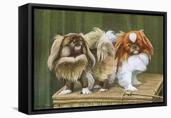 Two Dogs on a Basket-null-Framed Stretched Canvas