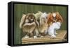 Two Dogs on a Basket-null-Framed Stretched Canvas