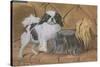 Two Dogs on a Sofa-null-Stretched Canvas