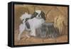 Two Dogs on a Sofa-null-Framed Stretched Canvas