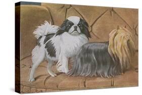 Two Dogs on a Sofa-null-Stretched Canvas