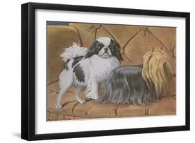 Two Dogs on a Sofa-null-Framed Art Print