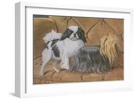 Two Dogs on a Sofa-null-Framed Art Print