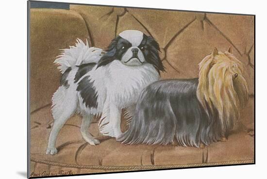 Two Dogs on a Sofa-null-Mounted Art Print