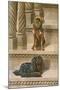 Two Dogs on a Staircase-null-Mounted Art Print