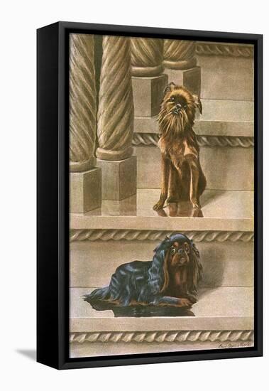 Two Dogs on a Staircase-null-Framed Stretched Canvas